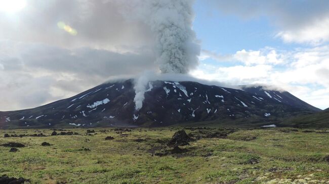 Вулкан Крашенинникова на Камчатке выбросил столб пепла