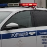В Башкирии под колесами автомобиля погибла косуля