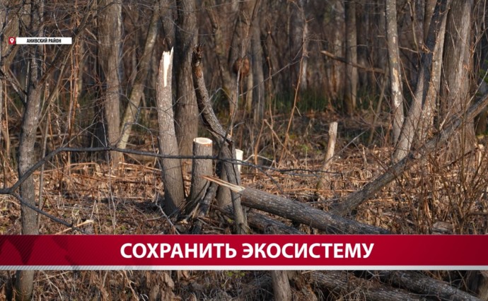 Браконьеры испоганили берег реки в Анивском районе