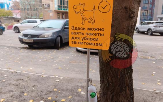 В Курске заработал первый пункт бесплатной раздачи пакетов для уборки за питомцами В Курске заработал первый пункт бесплатной раздачи пакетов для уборки за питомцами