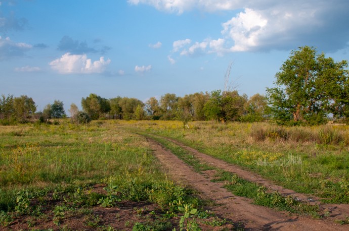 Росреестр хочет упорядочить муниципальный земельный контроль