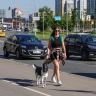 Более половины москвичей планируют в майские праздники остаться дома