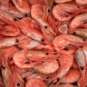 Шеф-повар рассказал, едят ли монахи морепродукты во время Великого поста