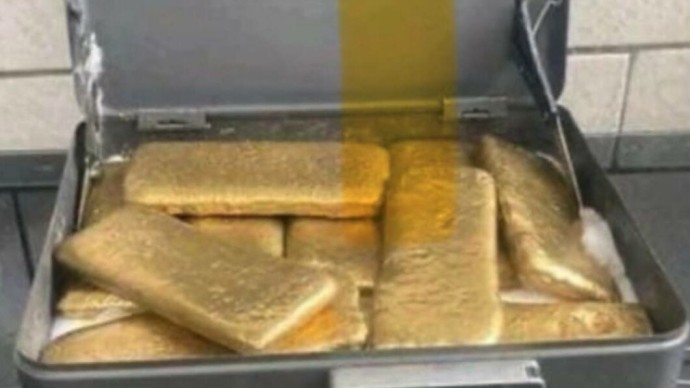 Иностранец стал фигурантом уголовного дела, пообещав петербурженке «золотые» слитки вместо денег