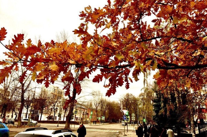 В пятницу температура воздуха в Воронежской области будет не ниже 5 градусов
