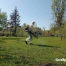 Более 900 белгородцев обратились к врачам из‑за укусов клещей в 2025 году