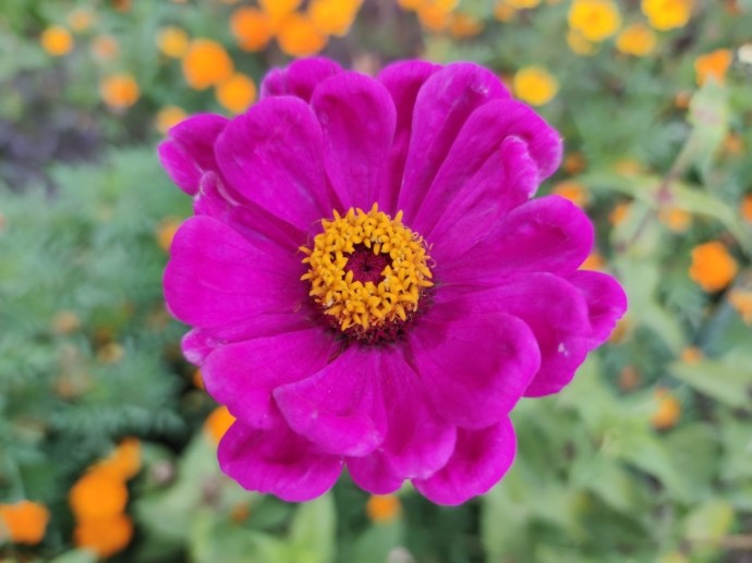 В Башкирии ожидается аномальная погода в конце октября, ноябре и декабре В Башкирии ожидается аномальная погода в конце октября, ноябре и декабре