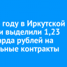 В 2024 году в Иркутской области выделили 1,23 миллиарда рублей на социальные контракты