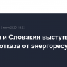 Венгрия и Словакия выступят против отказа от энергоресурсов РФ