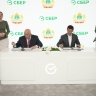 Сбер и Правительство Костромской области заключили соглашение о стратегическом сотрудничестве