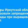 Фермеры Иркутской области использовали запрещенные пестициды при выращивании овощей