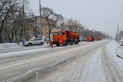 В Благовещенске для оперативной борьбы с последствиями циклонов создадут спецштаб