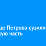 На улице Петрова сузили проезжую часть