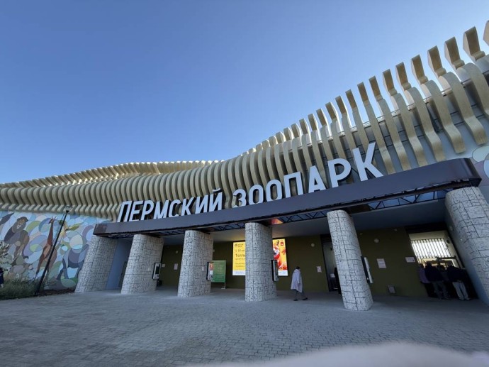 Новым директором Пермского зоопарка назначена Анастасия Залога Новым директором Пермского зоопарка назначена Анастасия Залога