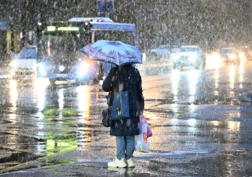 МЧС: 25-26 ноября в Москве ожидаются мокрый снег и гололедица