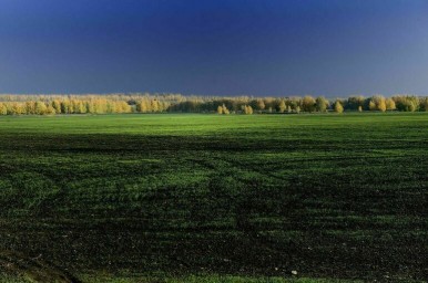 В Госдуму внесли законопроект о землях с особыми условиями использования