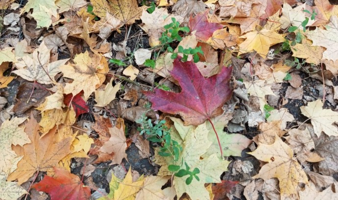 Погода в Башкирии приготовила неожиданный сюрприз Погода в Башкирии приготовила неожиданный сюрприз