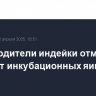 Производители индейки отметили дефицит инкубационных яиц