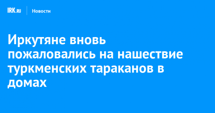 Иркутяне вновь пожаловались на нашествие туркменских тараканов в домах