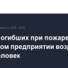Число погибших при пожаре на рязанском предприятии возросло до 14 человек