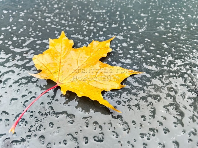 «Желтый» уровень опасности из-за снега с дождем объявлен в столичном регионе «Желтый» уровень опасности из-за снега с дождем объявлен в столичном регионе