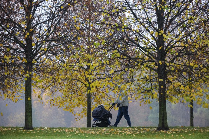 Минтруд будет учитывать теневые доходы при оценке нуждаемости Минтруд будет учитывать теневые доходы при оценке нуждаемости