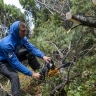 Московские студенты помогут восстановить инфраструктуру в Зейском заповеднике