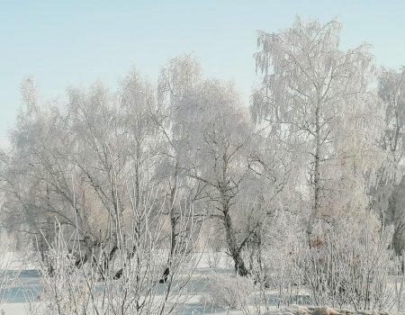 Синоптики предсказали, какой будет зима в Башкирии