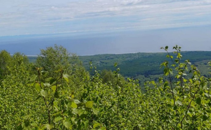 Сахалинцев зовут в двухдневный поход Сахалинцев зовут в двухдневный поход