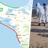 На пляжах Анапы опять нашли мазут