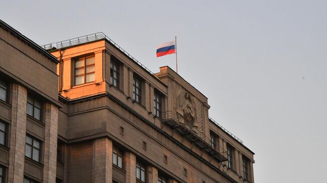 В ГД внесут проект об увеличении пенсии детям, оставшимся без родителей