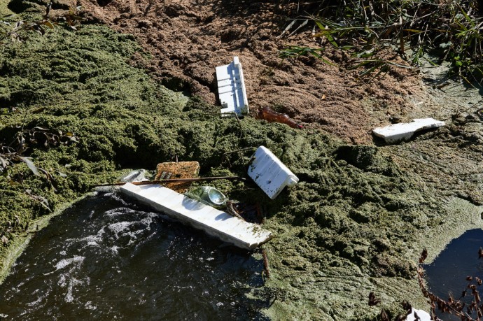 Около 5 тыс. пензенцев очистили берега водоёмов