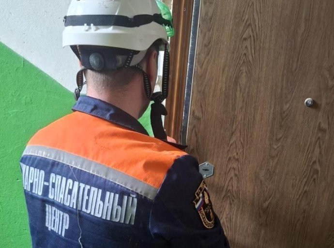 В Пензе спасатели помогли врачам попасть в квартиру на улице Вяземского