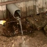 Вода из родника и дачного колодца: как обезопасить воду в полевых условиях