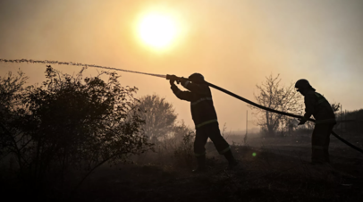В Рослесхозе рассказали о прошедшем в России пожароопасном сезон
