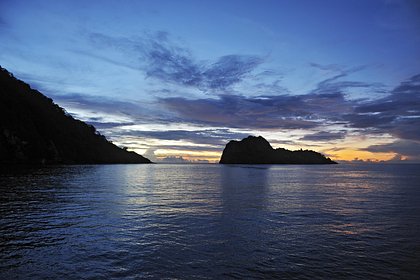 Акула напала на морского биолога