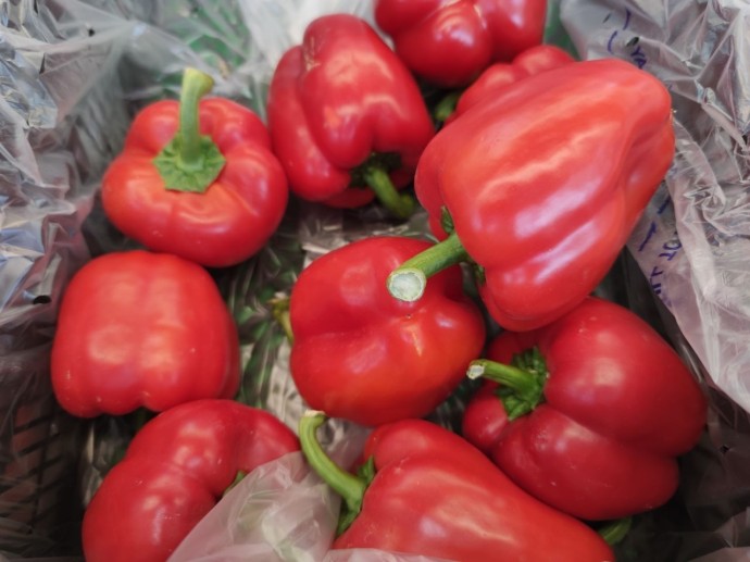 Рататуй и рулетики — топ-9 вкусных блюд из перца для жителей Башкирии