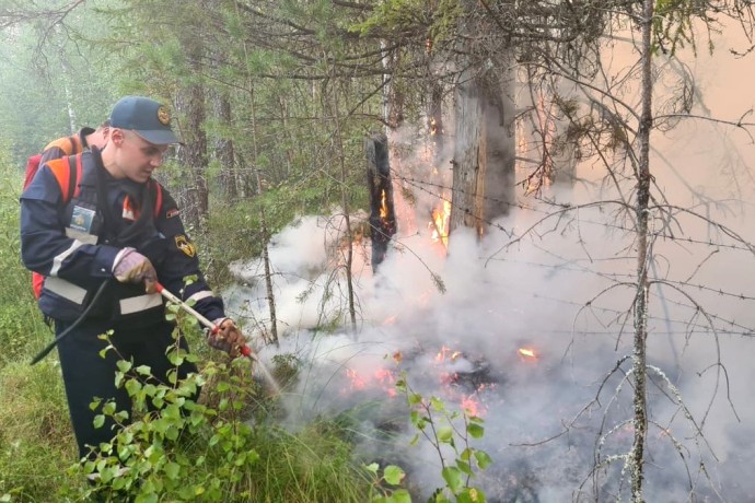 Кандидат на место прокурора ЕАО предложил меры борьбы с лесными пожарами Кандидат на место прокурора ЕАО предложил меры борьбы с лесными пожарами