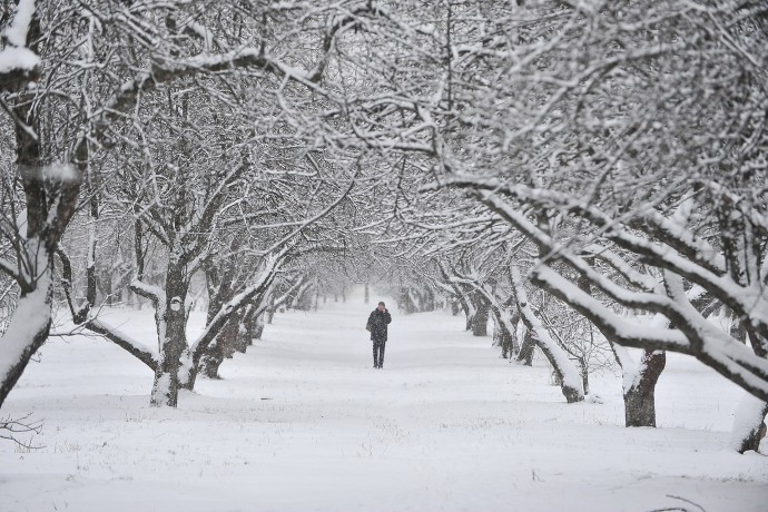 Синоптик Ильин не исключил, что Москву накроет мощный снежный циклон 24 ноября Синоптик Ильин не исключил, что Москву накроет мощный снежный циклон 24 ноября