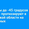 Морозы до -45 градусов и метели прогнозируют в Иркутской области на выходных