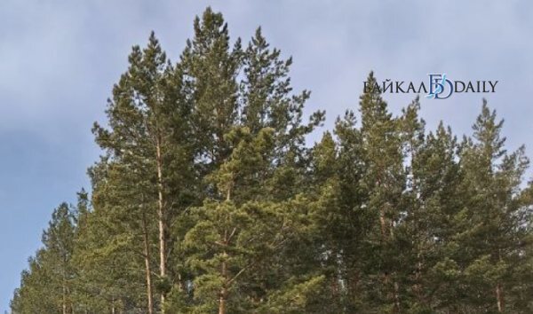 Жители района Бурятии боятся остаться в пустыне