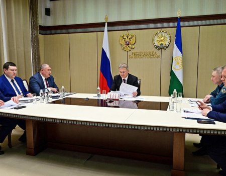 Радий Хабиров принял участие в федеральном совещании по паводку