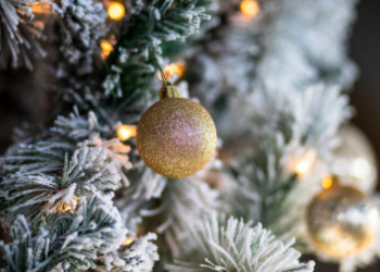 Амурчан приглашают на новогодние представления в резиденцию Деда Мороза