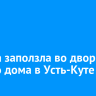 Гадюка заползла во двор жилого дома в Усть-Куте