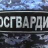 В Росгвардии заявили о задержании в Москве пытавшегося поджечь призывной пункт молодого человека