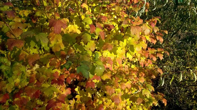 В Башкирии погода сильно удивит жителей В Башкирии погода сильно удивит жителей