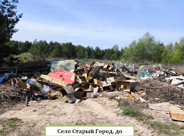 В Мордовии после вмешательства Россельхознадзора собственники земельных участков ликвидировали 2 свалки