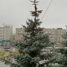 В Тульской области портится погода: ожидаются ливни и грозы