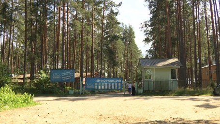 Всех детей из ДОЛ «Военмех» перевели в другие лагеря
