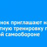 Иркутянок приглашают на бесплатную тренировку по женской самообороне